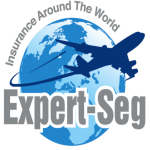 logo expert-seg